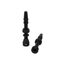 ventilek CST Tubeless černý 2ks FV48mm