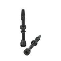 ventilek CST Tubeless černý 2ks FV60mm