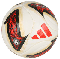 Adidas Torfabrik DFL PRO