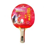 Pálka na stolní tenis Richmoral MASTER 2** DB105