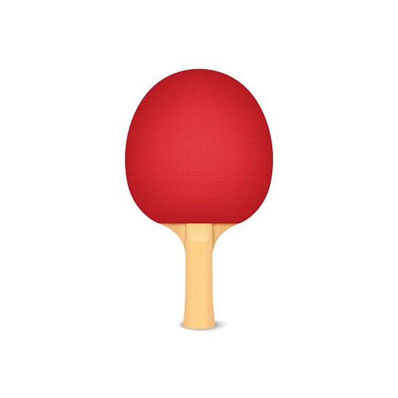 Pálka na stolní tenis BASIC 101