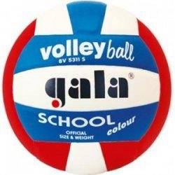 Míč volejbal SCHOOL COLOR 5311S