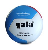 Míč volejbal PRO-LINE GALA BV5565S - 5