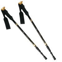 Nordic walking & trekingové hole NILS EXTREME NW-TK 19