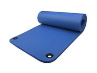 Karimatka na cvičení YOGA HARMONY PROFI 180x60x1,5 cm