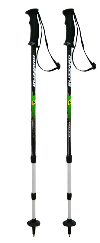 Blizzard Challenge green