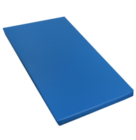 Žíněnka Sedco GYMNASTIC 200x100x5 cm