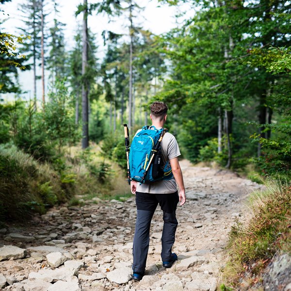 Batoh NILS Camp NC1917 Rambler modrý 20