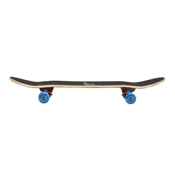 Skateboard NILS Extreme CR3108 SA Metro 2 3