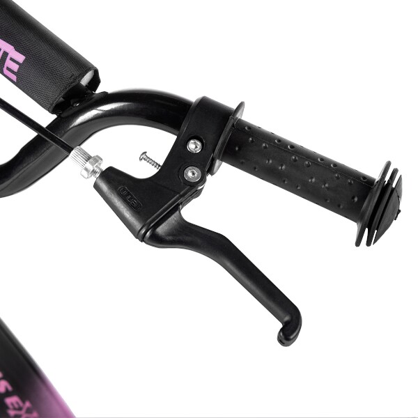 Koloběžka NILS Extreme WH113N, růžová 7