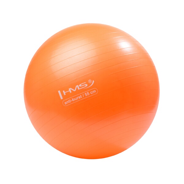 Gymnastický míč HMS YB02N 55 cm oranžový 2