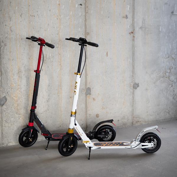 Skládací koloběžka NILS Extreme HM209T černá-červená 15