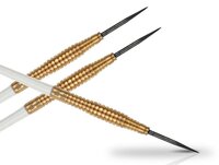 Šipky XQ MAX Steel Benito van de Pas - 21g