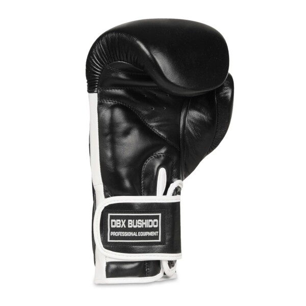 Boxerské rukavice DBX BUSHIDO BB5 3
