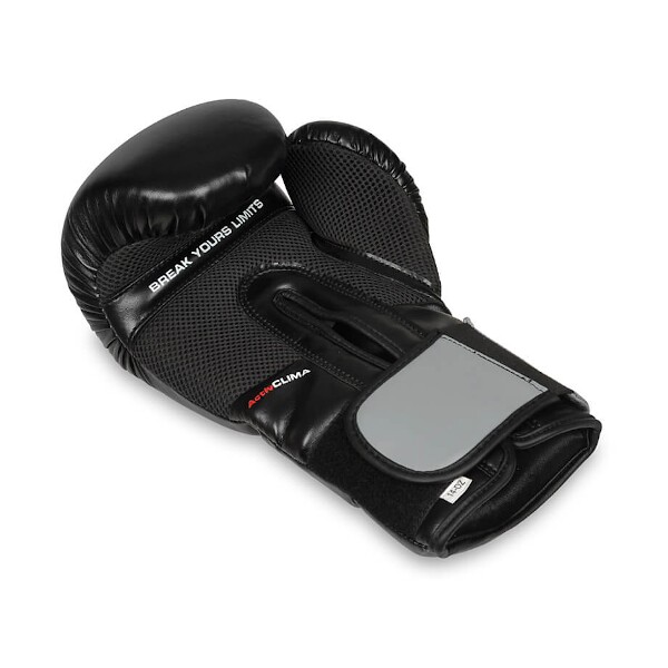 Boxerské rukavice DBX BUSHIDO B-2v9 3