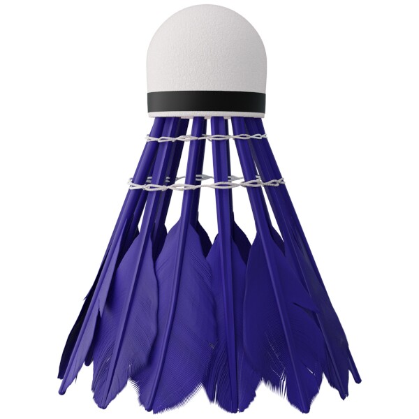 Badmintonové míčky z peří NILS NBL6213 multicolor 3 ks 2