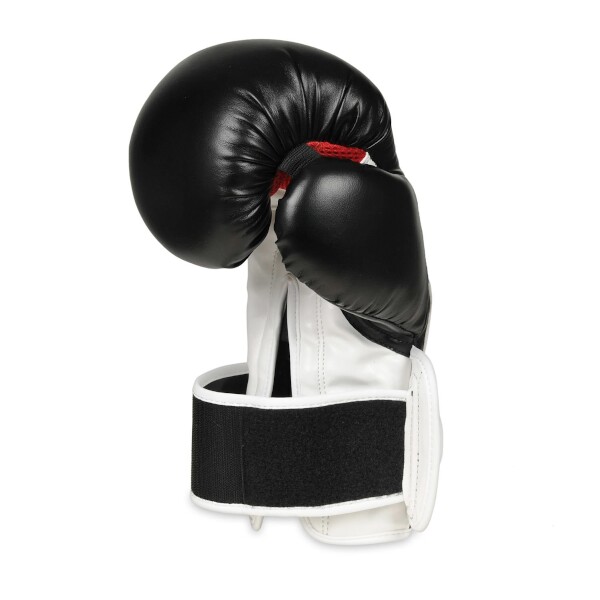 Boxerské rukavice DBX BUSHIDO B-3W Pro 6