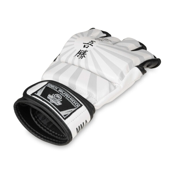 MMA rukavice DBX BUSHIDO E1v7 7