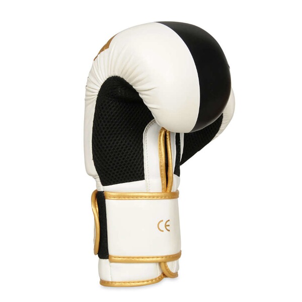Boxerské rukavice DBX BUSHIDO B-2v16 3