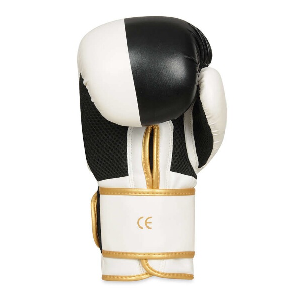 Boxerské rukavice DBX BUSHIDO B-2v16 5