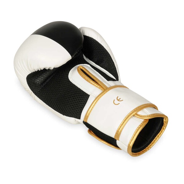 Boxerské rukavice DBX BUSHIDO B-2v16 7