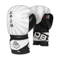 Boxerské rukavice DBX BUSHIDO B-2v8 Boxerské rukavice DBX BUSHIDO B-2v8