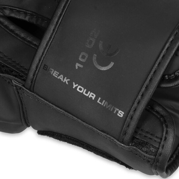 Boxerské rukavice DBX BUSHIDO B-2v22 9