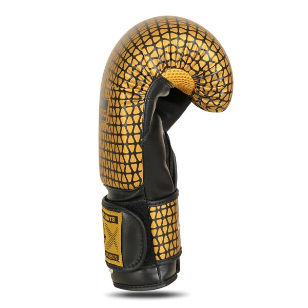 Boxerské rukavice DBX BUSHIDO B-2v23 3