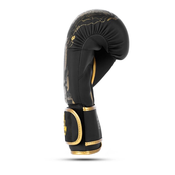 Boxerské rukavice DBX BUSHIDO Gold Dragon 4