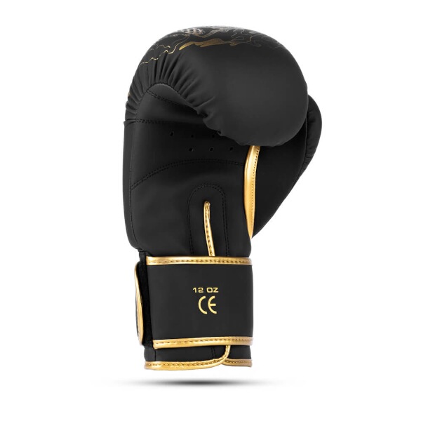 Boxerské rukavice DBX BUSHIDO Gold Dragon 7