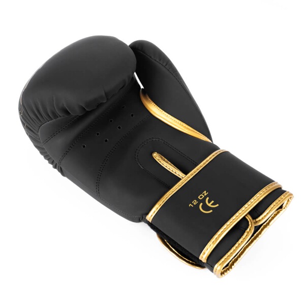 Boxerské rukavice DBX BUSHIDO Gold Dragon 8