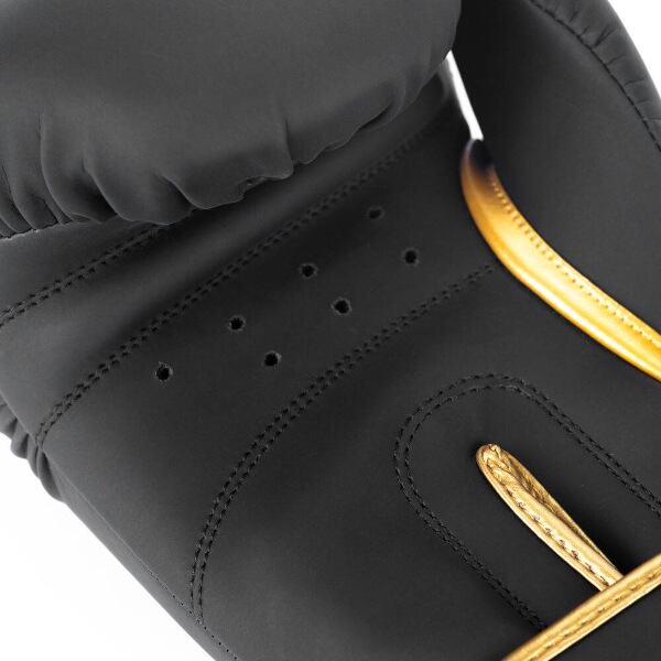 Boxerské rukavice DBX BUSHIDO Gold Dragon 9