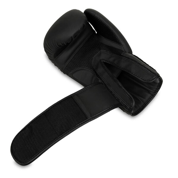 Boxerské rukavice DBX BUSHIDO B-2v21 7