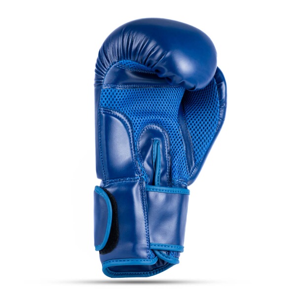 Boxerské rukavice DBX BUSHIDO ARB-407-Blue 3