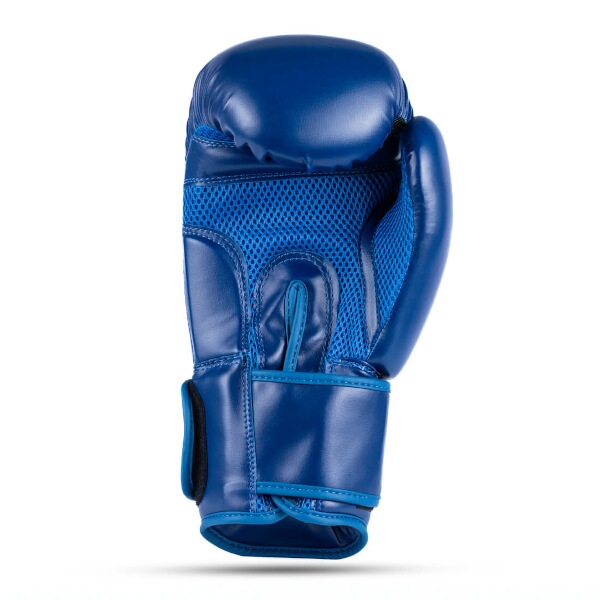 Boxerské rukavice DBX BUSHIDO ARB-407-Blue 5