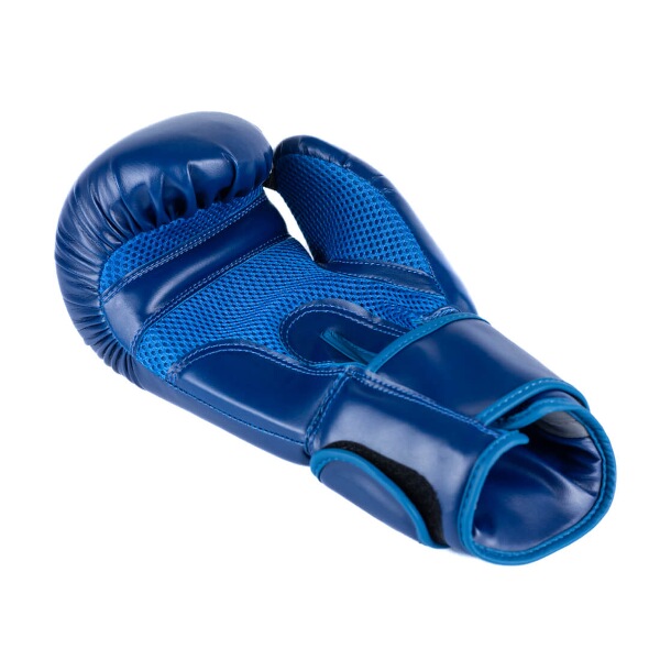 Boxerské rukavice DBX BUSHIDO ARB-407-Blue 8