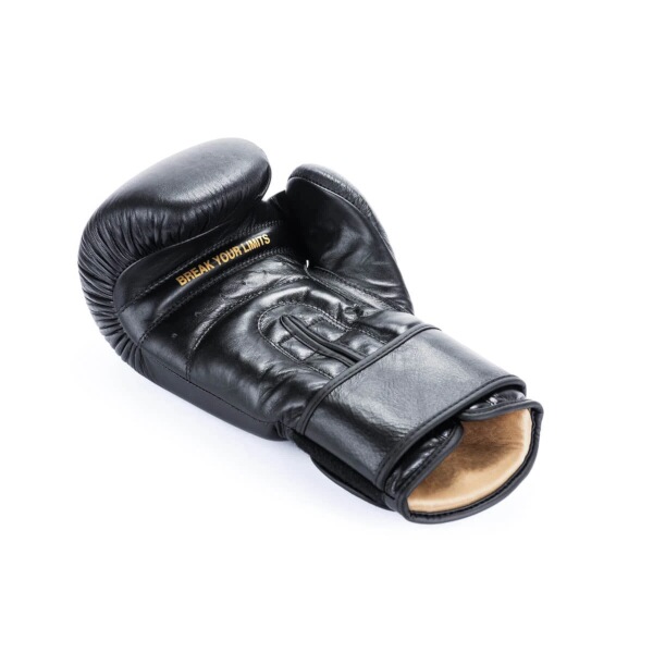 Boxerské rukavice DBX BUSHIDO Striker 6