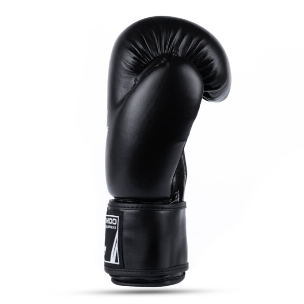 Boxerské rukavice DBX BUSHIDO ARB-Black 3