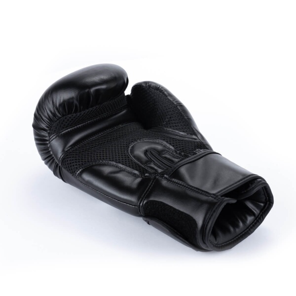 Boxerské rukavice DBX BUSHIDO ARB-Black 7