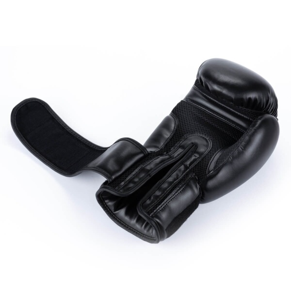 Boxerské rukavice DBX BUSHIDO ARB-Black 9