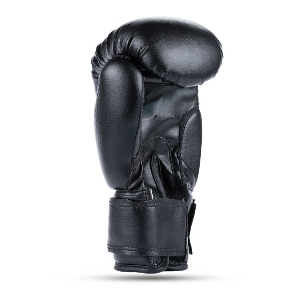 Juniorské boxerské rukavice DBX BUSHIDO ARB-407v5 6 oz. 2
