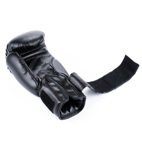 Juniorské boxerské rukavice DBX BUSHIDO ARB-407v5 6 oz. 11