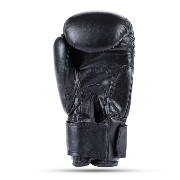 Juniorské boxerské rukavice DBX BUSHIDO ARB-407v5 6 oz. 3