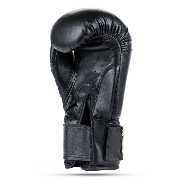 Juniorské boxerské rukavice DBX BUSHIDO ARB-407v5 6 oz. 5