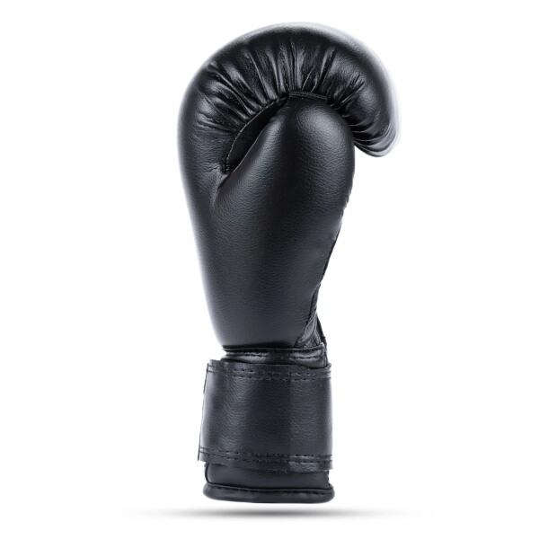 Juniorské boxerské rukavice DBX BUSHIDO ARB-407v5 6 oz. 9