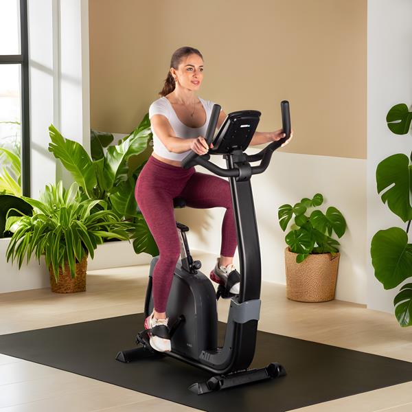 Elektromagnetický rotoped s generátorem HMS Premium M1815 6